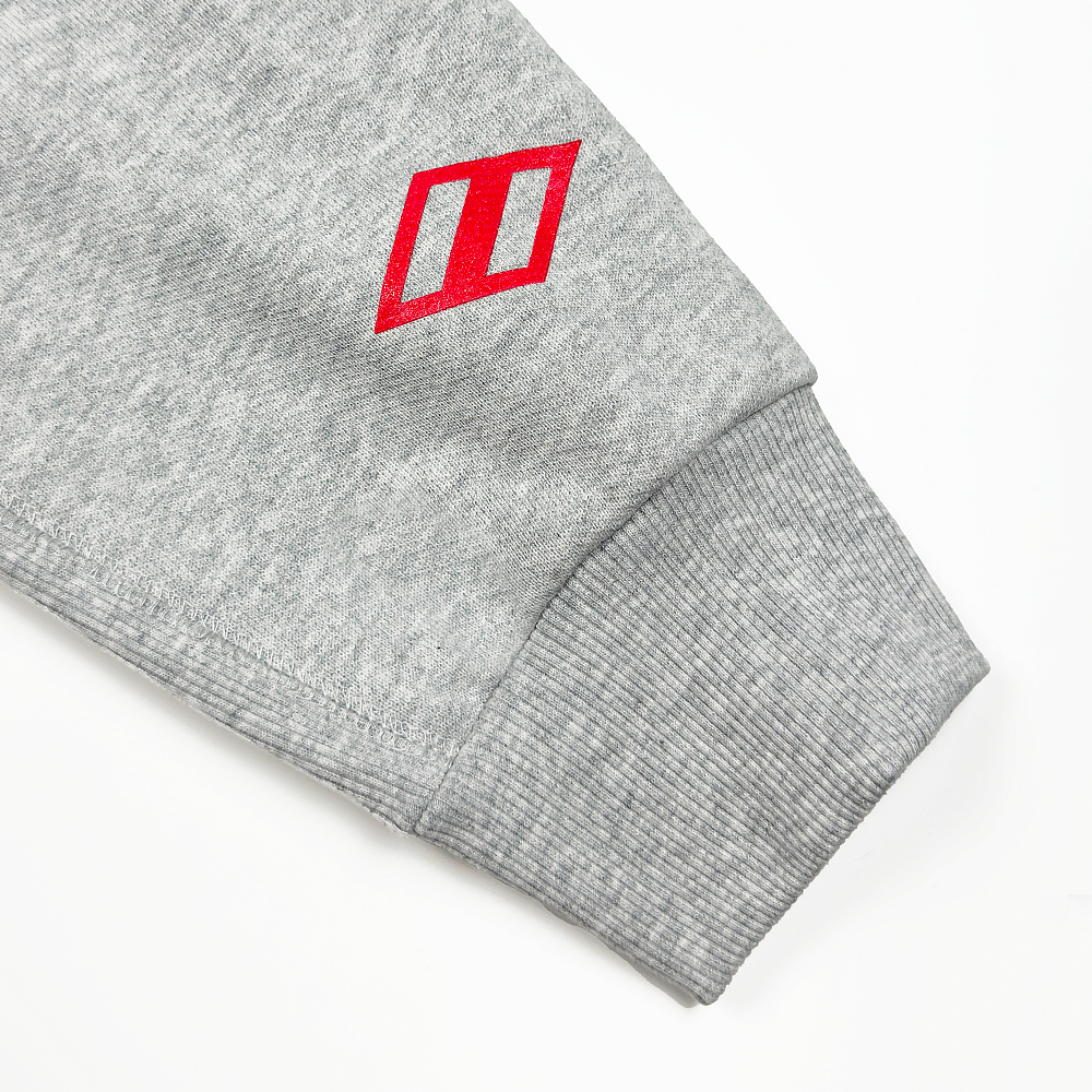 Зип-худи GYM 2.0 серый меланж