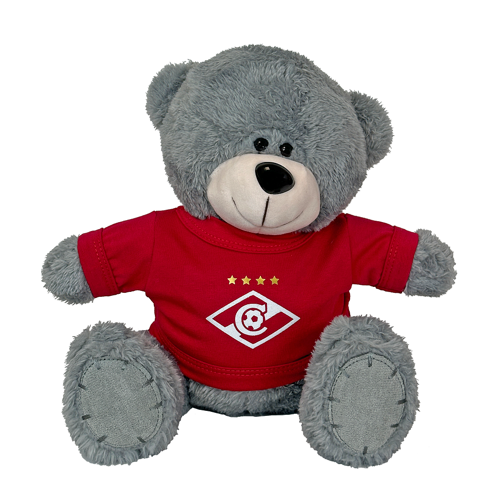 A gray teddy bear in a sweatshirt