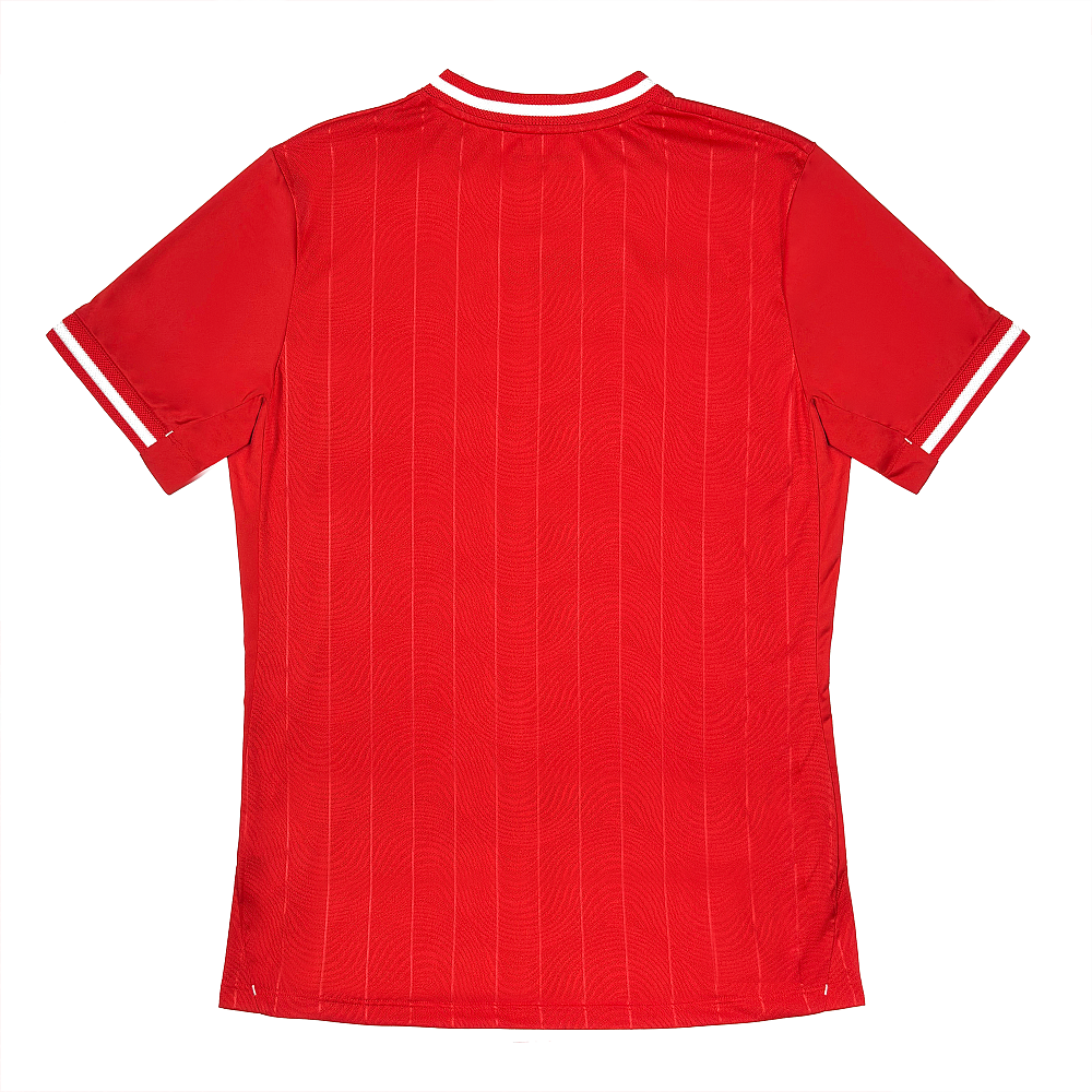 Футболка игровая домашняя Jogel PerFormDRY 2025-26