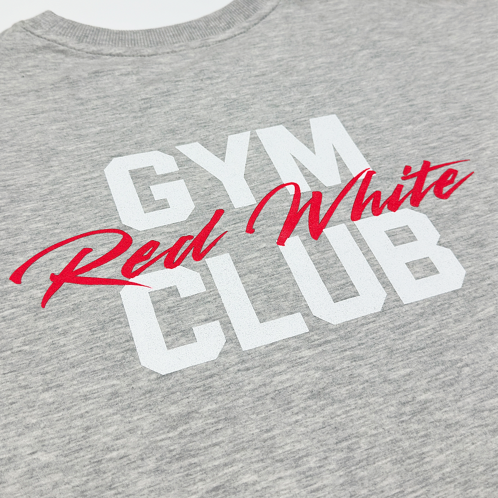 Футболка GYM 2.0 серый меланж